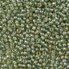 TOHO Round Seed Beads X-SEED-TR11-1848-2