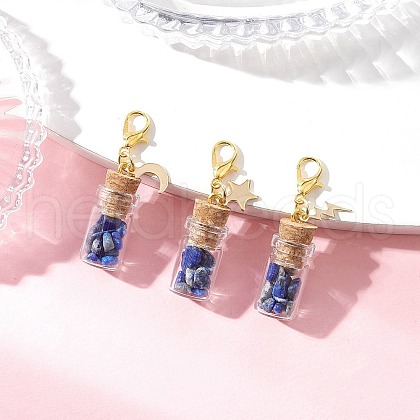 Natural Lapis Lazuli Chips inside Glass Wishing Bottle Pendant Decoration HJEW-JM03307-03-1