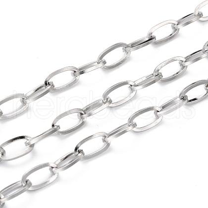 Tarnish Resistant 304 Stainless Steel Paperclip Chain CHS-H031-06P-1