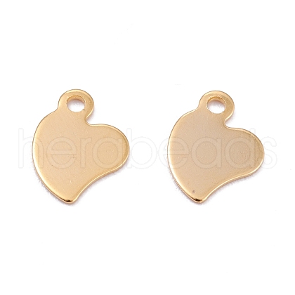 201 Stainless Steel Charms STAS-B001-18G-1