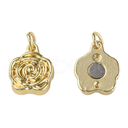 Brass Pendants KK-N233-249LG-1