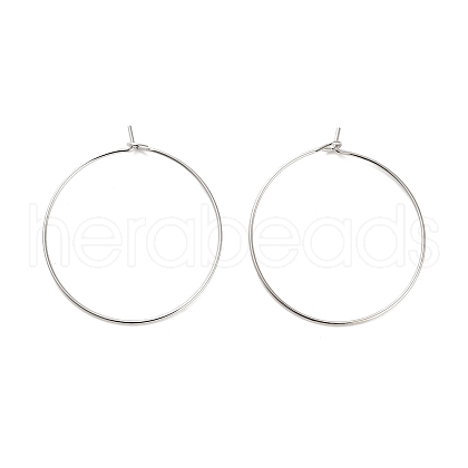 Brass Hoop Earring Findings X-KK-R112-038D-1