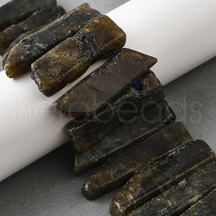 Natural Larvikite Beads Strands G-S386-D10-1