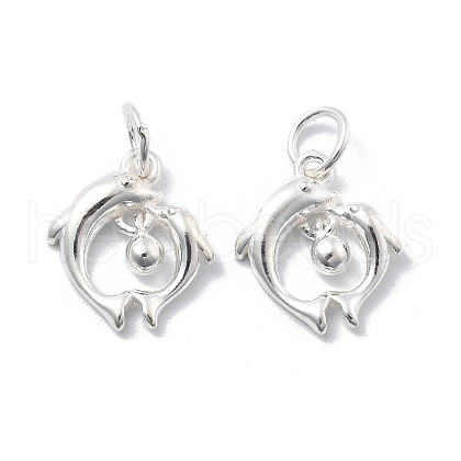 925 Sterling Silver Charms STER-D302-05B-S-1