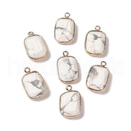 Natural Howlite Faceted Pendants G-Q169-06G-01-1