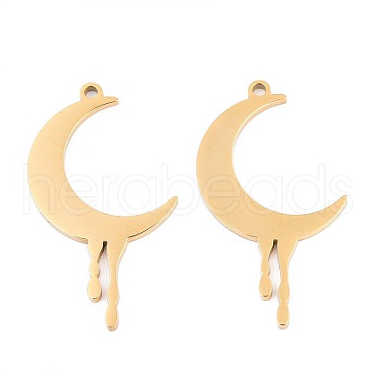 304 Stainless Steel Pendants STAS-N108-42G-1