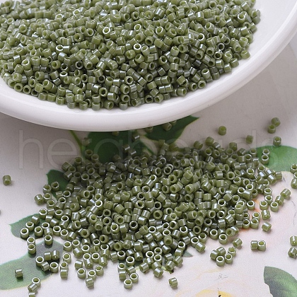 MIYUKI Delica Beads X-SEED-J020-DB0263-1