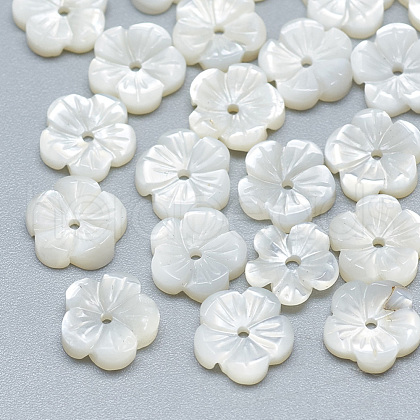 Natural White Shell Beads SSHEL-S260-010-1