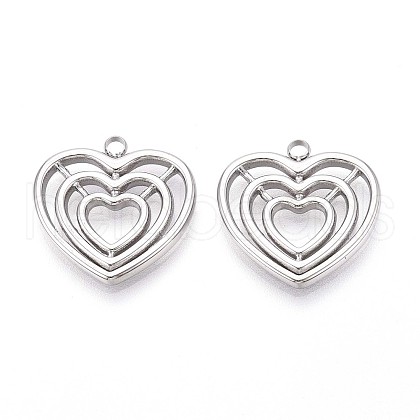 304 Stainless Steel Pendants STAS-N109-200P-1