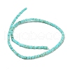 Dyed Natural Freshwater Shell Beads Strands BSHE-G039-07C-2