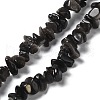 Natural Silver Sheen Obsidian Chip Beads Strands G-M205-07A-1