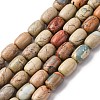 Natural Aqua Terra Jasper Beads Strands G-L624-C03-14x10mm-2