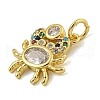 Marine Theme Rack Plating Brass Micro Pave Cubic Zirconia Pendants X-KK-I718-28G-01-2