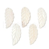 Natural Freshwater Shell Big Pendants SHEL-K006-44-1