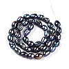 Natural Cultured Freshwater Pearl Beads Strands PEAR-N014-06G-05-3
