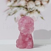 Resin Craft Display Decorations DJEW-PW0021-33I-1