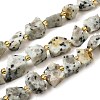 Raw Rough Natural Seaame Jasper Beads Strands G-Z087-A10-2