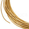 Brass Wire FIND-WH0170-40E-G-1