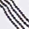  Natural Cultured Freshwater Pearl Beads Strands PEAR-NB0001-40-6