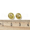 Handmade Lampwork Beads LAMP-P068-12C-2