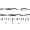 Brass Paperclip Chains Necklaces for Women NJEW-D302-69B-5