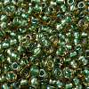 MIYUKI Round Rocailles Beads X-SEED-G008-RR0375-3