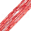 Natural Freshwater Shell Dyed Beads Strands X-SHEL-M018-11-07-1