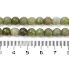 Natural TaiWan Jade Beads Strands G-K310-A23-6mm-01-5