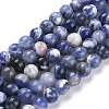 Natural Sodalite Beads Strands G-K410-02-6mm-1