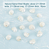   Natural Spiral Shell Beads SHEL-PH0001-42-4