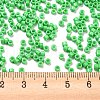 Baking Paint Glass Seed Beads SEED-S042-05A-28-4