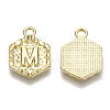Alloy Pendants PALLOY-N157-003M-NR-3