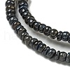 Dyed Natural Freshwater Shell Beads Strands X1-BSHE-G039-07M-3