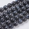 Natural Larvikite Beads Strands X-G-G542-10mm-27-1