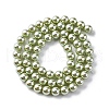UV Plating Pearlized Glass Pearl Beads Strands GLAA-F128-01A-T21-4