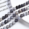 Natural Iolite Beads Strands G-N328-50C-01-4