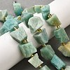 Raw Rough Natural Amazonite Beads Strands G-Z087-A04-1