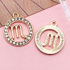 Zinc Alloy Crystal Rhinestone Pendants WGC2D94-08-1