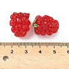 Handmade Lampwork Enamel Beads LAMP-U004-07A-4