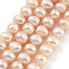 Natural Cultured Freshwater Pearl Beads Strands PEAR-C003-16D-2
