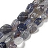 Natural Iolite Beads Strands G-P497-01A-13-1