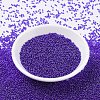 MIYUKI Round Rocailles Beads X-SEED-G007-RR0176-2