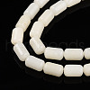 Natural White African Opal Beads Strands G-N346-01B-10-5