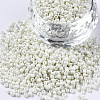 Glass Seed Beads SEED-S060-A-F207-1