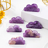 Natural Lepidolite Display Decorations G-PW0004-04-2