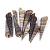 Spiral Shell Beads SSHEL-S258-34-1
