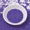 MIYUKI Delica Beads X-SEED-J020-DB0880-2