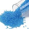 TOHO Round Seed Beads X-SEED-TR11-0104B-1