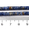 Natural Sodalite Beads Strands G-H230-72-5