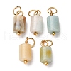 Natural Flower Amazonite Column Charms with 304 Stainless Steel Jump Rings G-Q032-01G-1